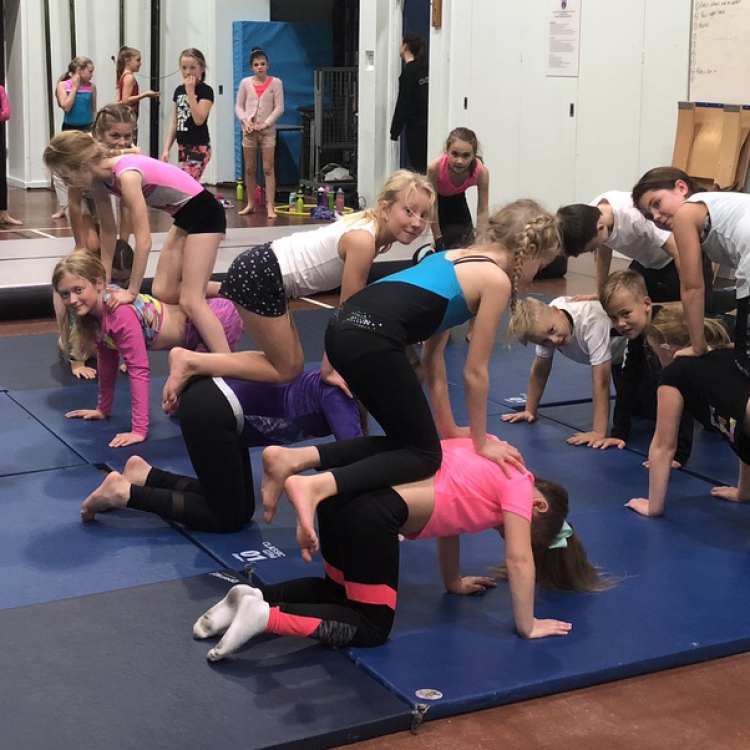 Ainsty Gymnastics and Trampoline Club - York Mumbler
