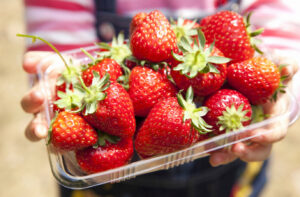 Punnet of strawberries york