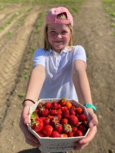 Spilman's Farm Strawberry Picking