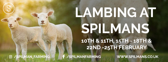 Spilmans Lambing Event